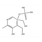 Pyridoxol 5-Phosphate 