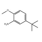 5-tert-Butyl-2-Methoxyaniline pictures