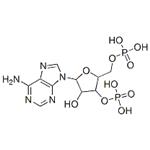 [5-(6-aminopurin-9-yl)-4-hydroxy-3-phosphonooxy-oxolan-2-yl]methoxyphosphonic acid pictures