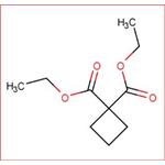 Diethyl 1,1-cyclobutanedicarboxylate pictures