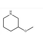 3-METHOXYPIPERIDINE pictures