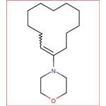 1-Morpholinocyclododecene