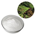 Saw Palmetto Fruit Extract 45% fatty acids pictures