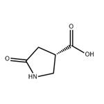 5-OXO-PYRROLIDINE-3-CARBOXYLIC ACID pictures