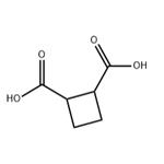cyclobutane-1,2-dicarboxylic acid pictures
