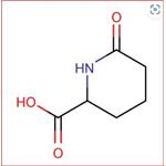 6-OXO-PIPERIDINE-2-CARBOXYLIC ACID pictures