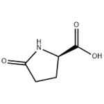 D-Pyroglutamic acid