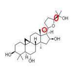 Cycloastragenol