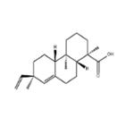 sandaracopimaric acid pictures