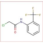 N-(CHLOROACETYL)-2-(TRIFLUOROMETHYL)ANILINE