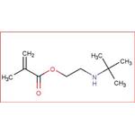 2-(tert-Butylamino)ethyl methacrylate