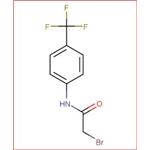 2-BROMO-4'-(TRIFLUOROMETHYL)ACETANILIDE