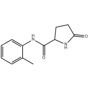 N-(2-Methylphenyl)-5-oxoprolinamide