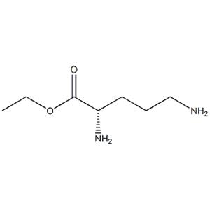 L-ORNITHINE ETHYL ESTER