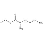 L-ORNITHINE ETHYL ESTER