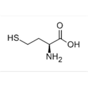 Homocysteine 