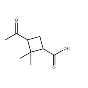 Pinononic acid