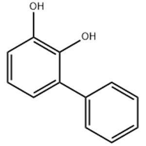 2,3-DIHYDROXY-BIPHENYL