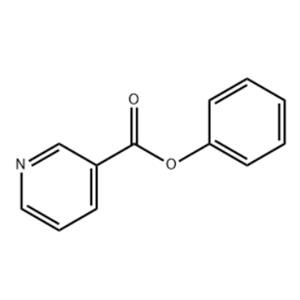 PHENYL NICOTINATE