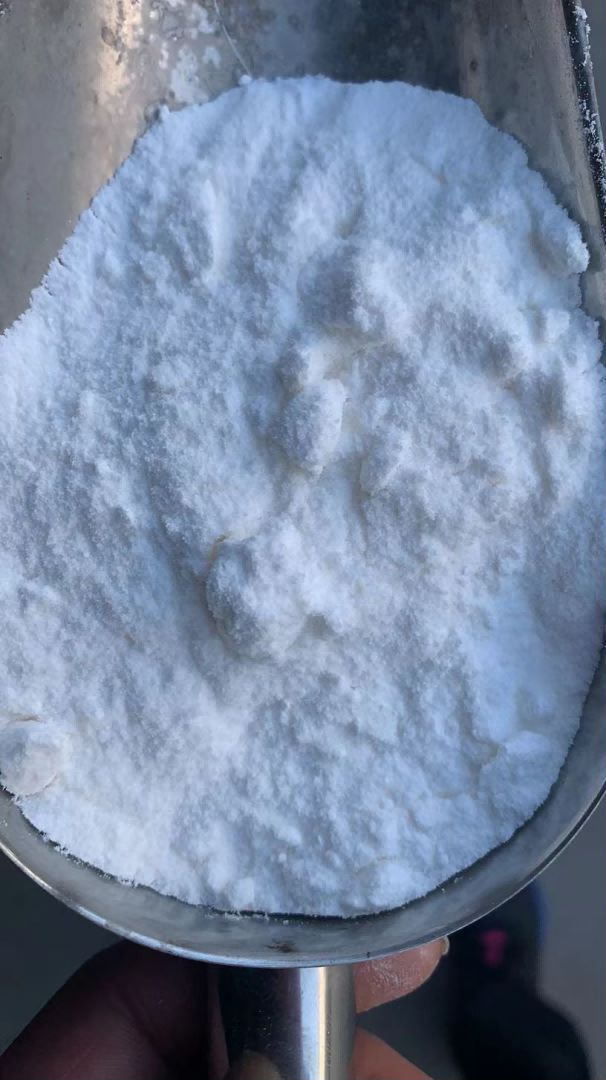  Procaine HCl /  Procaine 