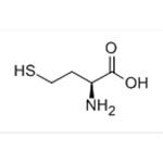 Homocysteine 