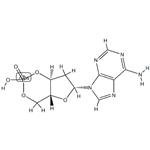 2'-deoxy cyclic AMP