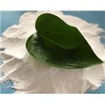 497-19-8 Sodium carbonate