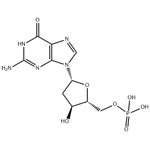 2'-DEOXYGUANOSINE 5'-MONOPHOSPHATE pictures