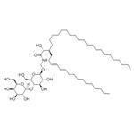 Lactosylceramides (bovine buttermilk) pictures