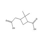 trans-Pinic acid pictures