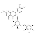 Rhamnetin 3-O-rutinoside