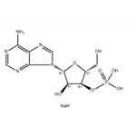 3'-ADENYLIC ACID SODIUM SALT pictures