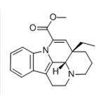 apovincamine pictures