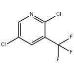 2,5-DICHLORO-3-(TRIFLUOROMETHYL)PYRIDINE pictures