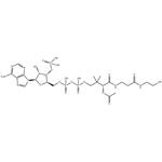 ACETYL COENZYME A TRILITHIUM SALT TRIHYDRATE pictures