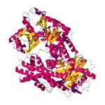 HEXOKINASE pictures