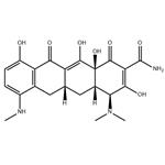 7-Monodemethyl Minocycline