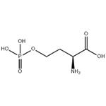 O-Phospho-L-homoserine lithium salt pictures