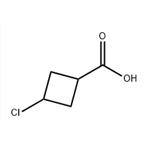 	3-CHLOROCYCLOBUTANECARBOXYLIC ACID pictures