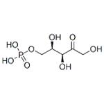 D-xylulose 5-phosphate pictures