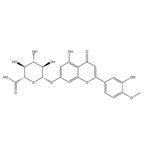 DiosMetin 7-O-β-D-Glucuronide