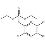 CHLORPYRIFOS-OXON