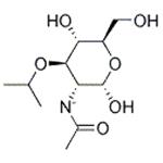 LYSOZYME