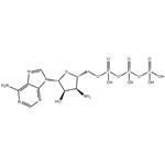 cis-2,5-Dimethyl-pyrrolidine hydrochloride