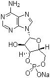 CAS # 37839-81-9, Adenosine 3',5'-phosphoric acid sodium salt, Cyclic 3',5'-AMP sodium salt, Cyclic 3',5'-adenosine monophosphate monosodium salt, Cyclic AMP sodium, Cyclic AMP sodium salt, cAMP sodium salt