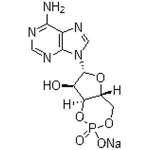 Adenosine 3',5'-cyclic monophosphate sodium salt；Cyclic AMP Na; 3:5-CAMP Na; 3',5'-CYCLIC AMP Na