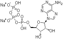 Adenosine 5'-triphosphate disodium salt,ATP-Na2; 5'-ATP-Na2