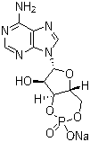 Adenosine 3',5'-cyclic monophosphate sodium salt；Cyclic AMP Na; 3:5-CAMP Na; 3',5'-CYCLIC AMP Na