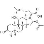 Fusidine,Fusidic acid pictures