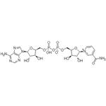 β-Nicotinamide Adenine Dinuclotide;NAD pictures